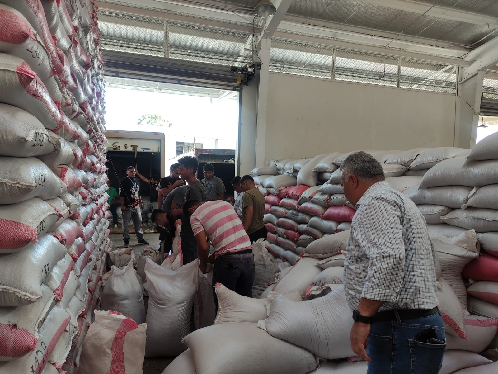 IHMA garantiza abastecimiento de frijol y maíz este 2023